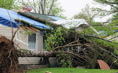 Life in Tornado Alley: Preparing Your Salina Roof for Spring Storms