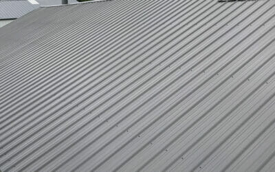 Your Guide to Central State Pro Panel Metal Roofs