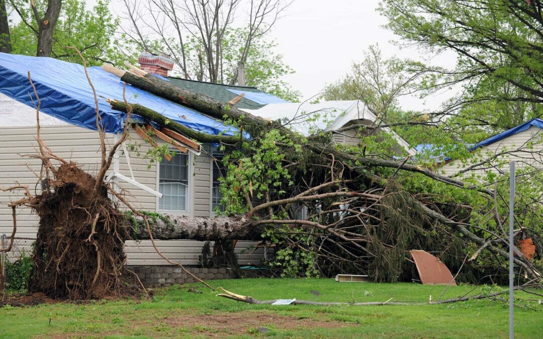 The Importance of Emergency Roof Repairs and Stabilization after a Storm