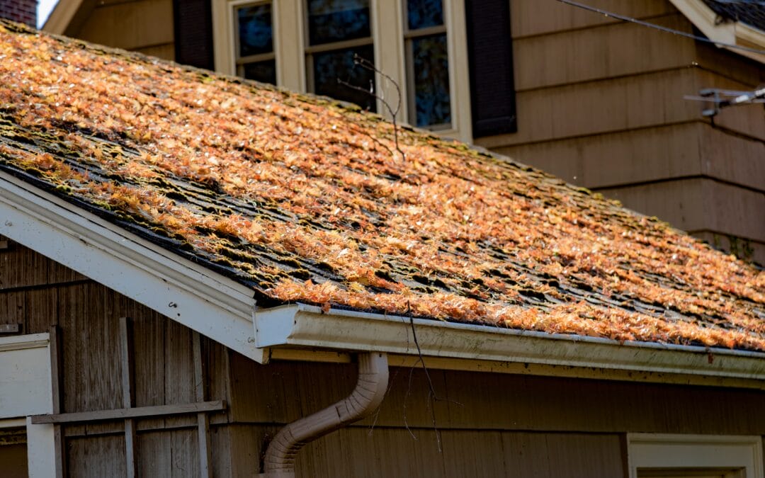 Common Spring Roof Problems in McPherson